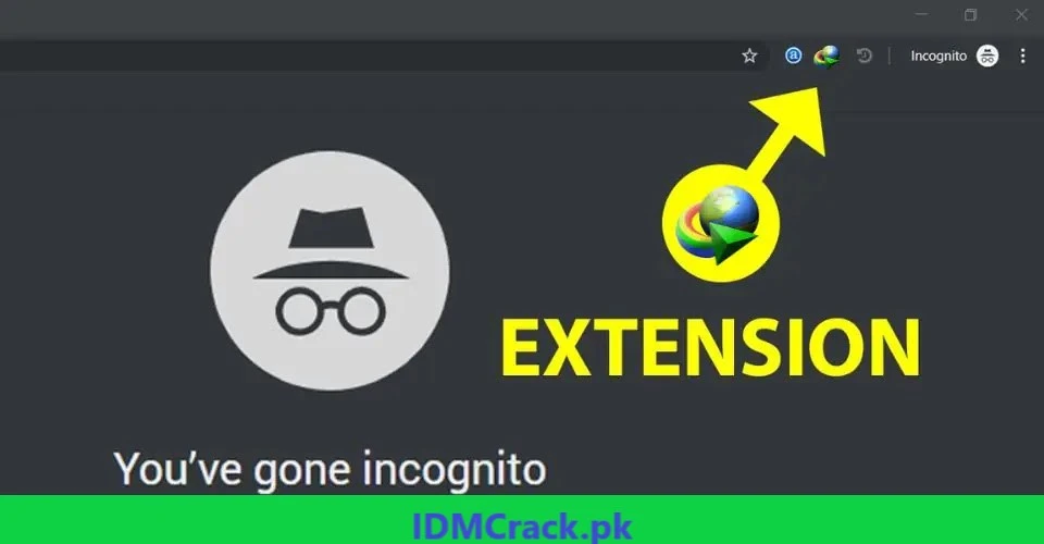 Enable IDM Extension in Incognito Mode